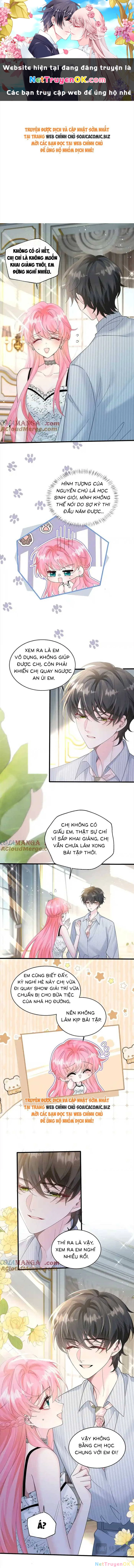 cô em gái cưng bất đắc dĩ của đại lão Chapter 34 - Next Chapter 35